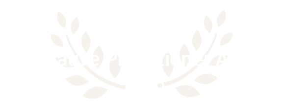 Innovative Practitioner 2019