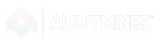 AuditMiner