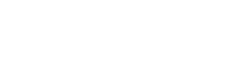 MindBridge