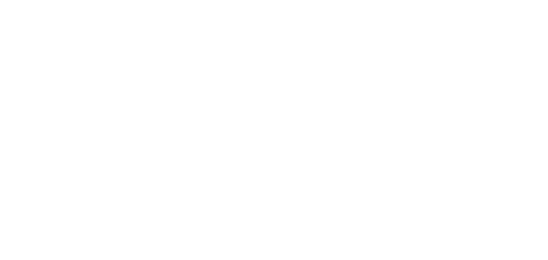 Ping